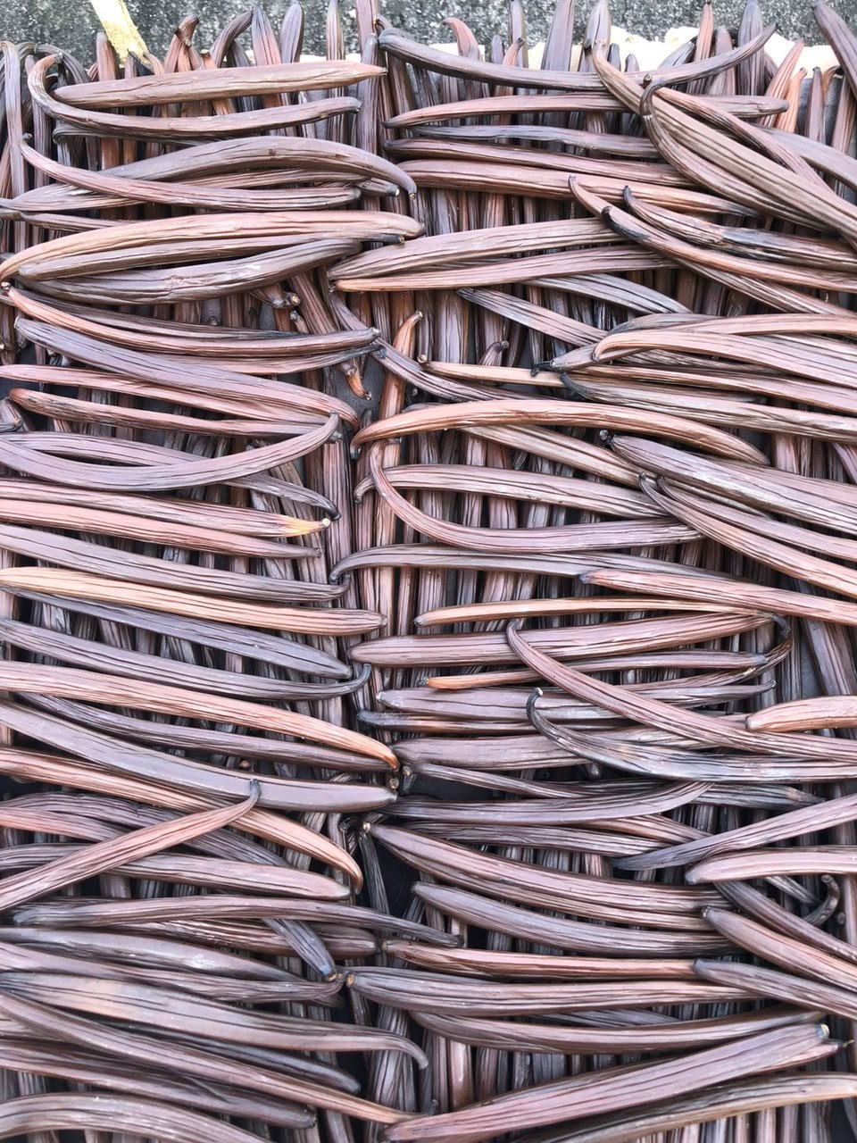 Bulk cured vanilla beans