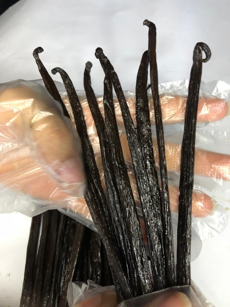 Cured vanilla bean selection for inquiry