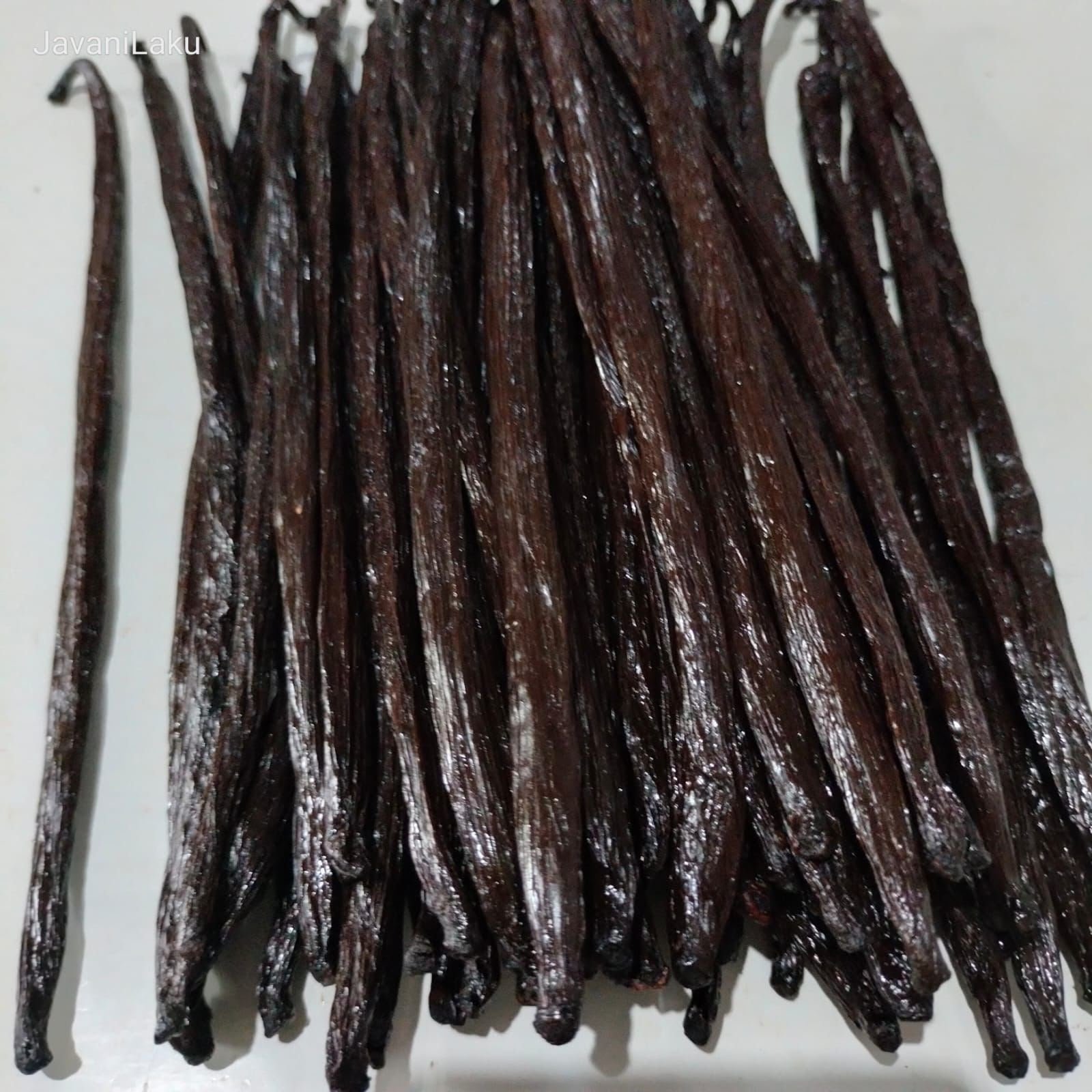 Cured vanilla beans ready for inspection