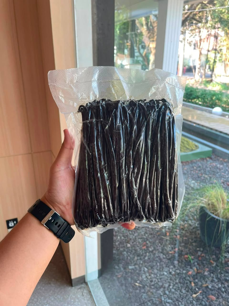 Vanilla beans in packaging